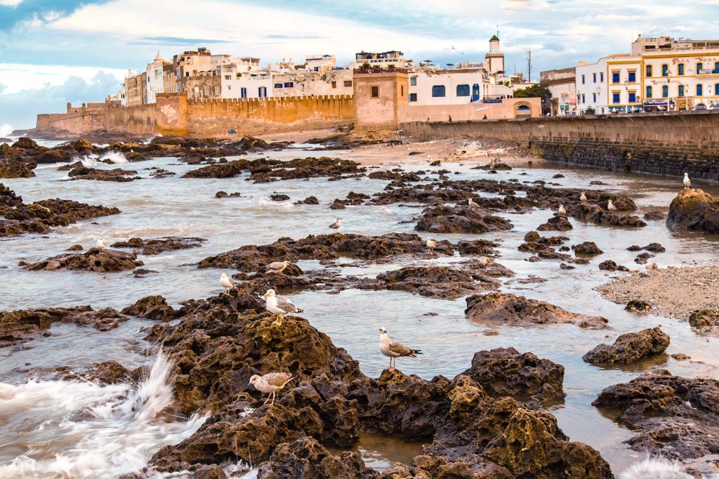 50022987 - port city of essaouira on the atlantic coast. morocco.