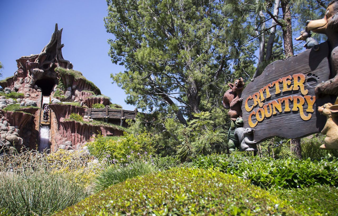 Splash mountain in Critter Country