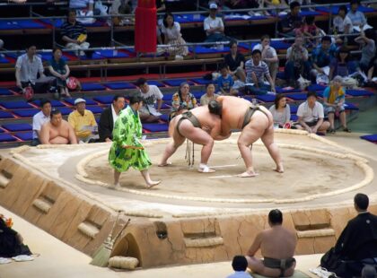 sumo guide