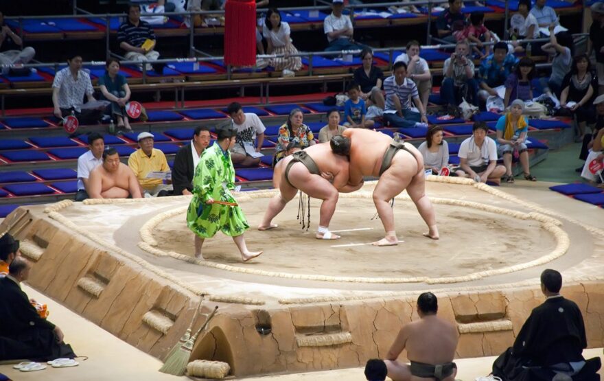 sumo guide