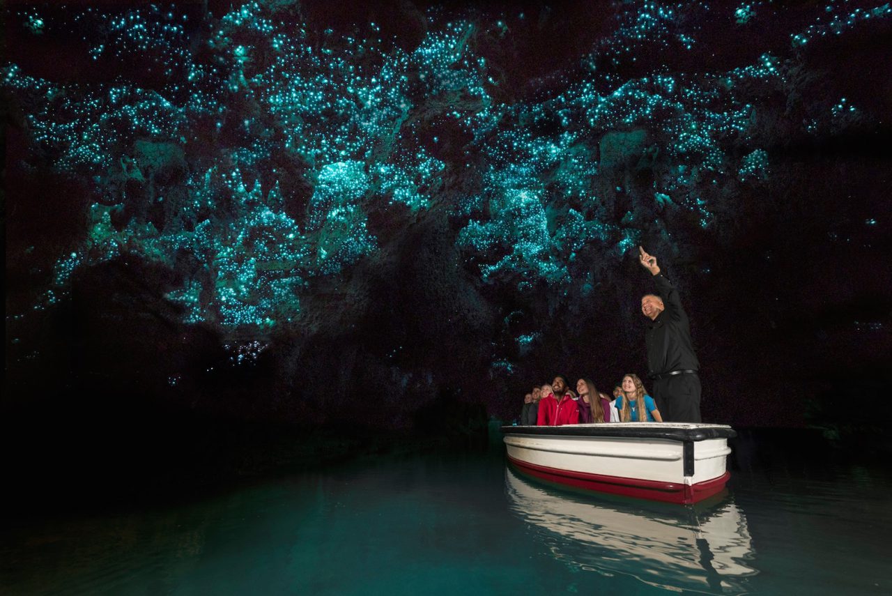 waitomo glowworm caves