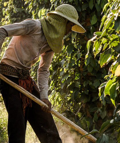 farmer kampot cambodia silkwinds highlights