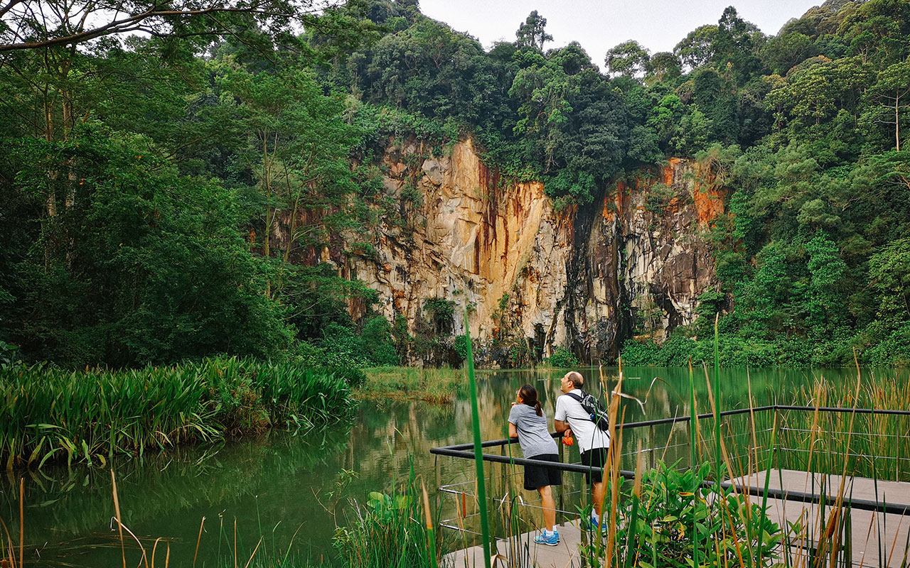 Bukit Timah Nature Reserve (Photo: Tan Shung Sin / Shot on a Huawei P20 Pro)