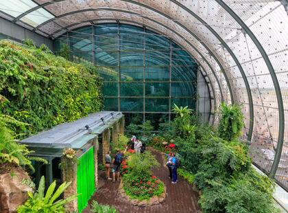 Butterfly Garden at Singapore Changi Airport (Photo: Z. Jacobs / Shutterstock.com)