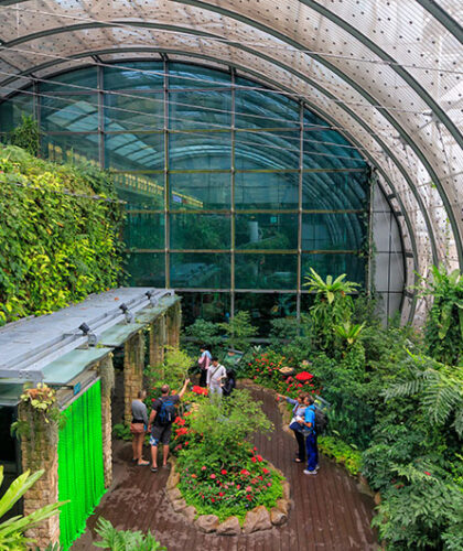 Butterfly Garden at Singapore Changi Airport (Photo: Z. Jacobs / Shutterstock.com)