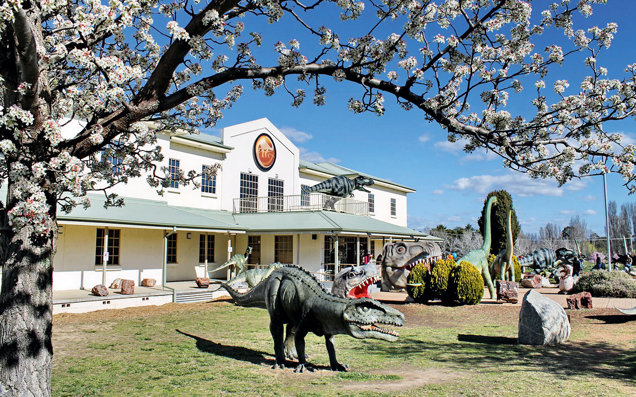 Dinosaur Museum, Canberra