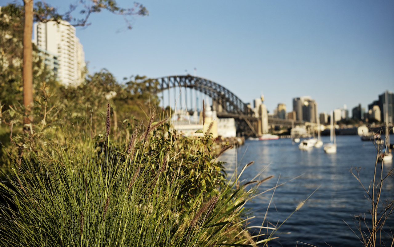 Sydney Harbour bridge view