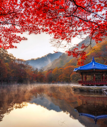 fall leaves in Asia in Korea on Silverkris.com