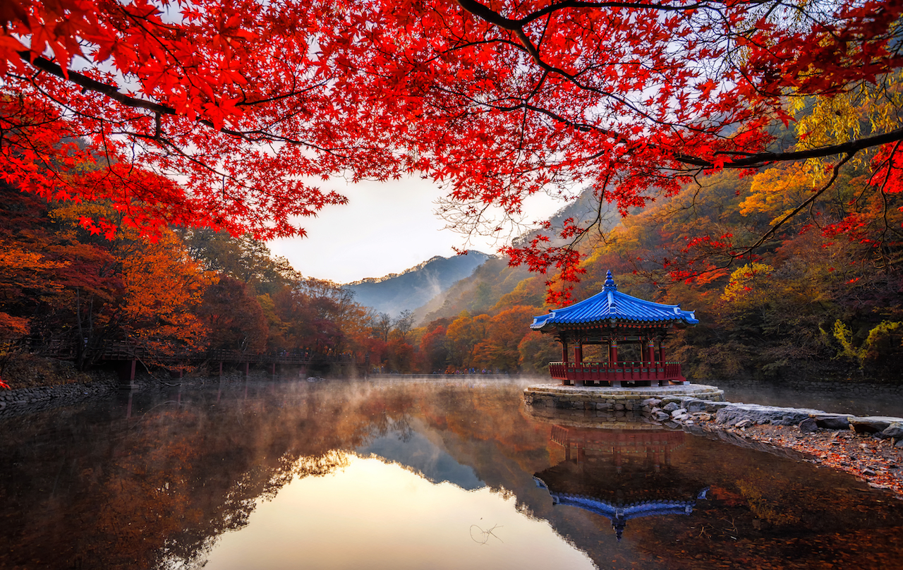 Mount Naejangsan Autumn travel in Korea