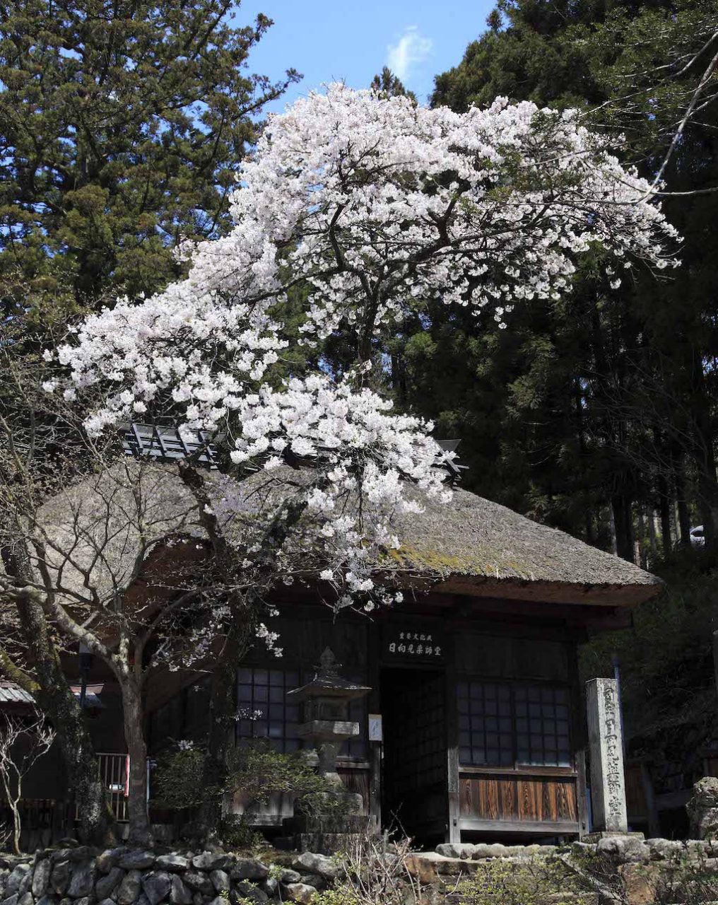 Shima Onsen - Hinatami Yakushido(temple)