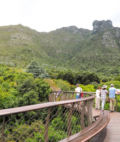 Kirstenbosch Gardens Hiking Cape Town City Guide SilverKris