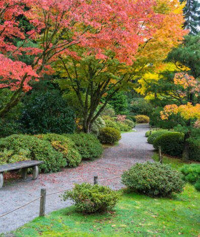 washington park arboretum seattle silverkris city guide