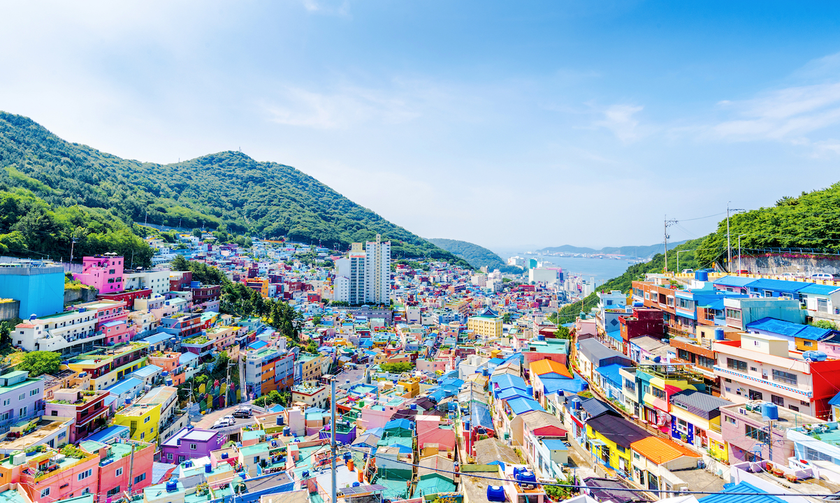 Busan city guide feature image