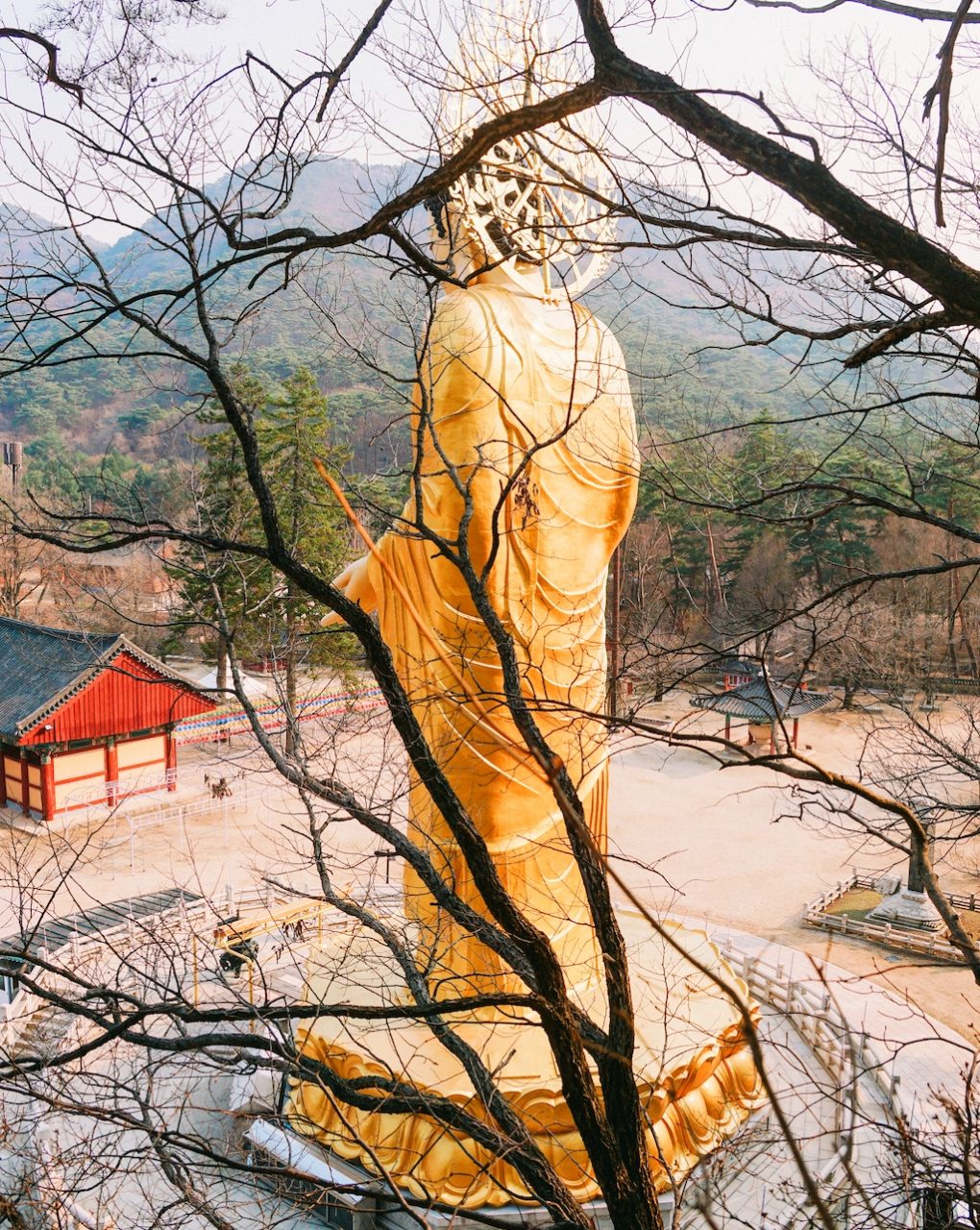 View of back of big Buddha South korea temple stays SilverKris