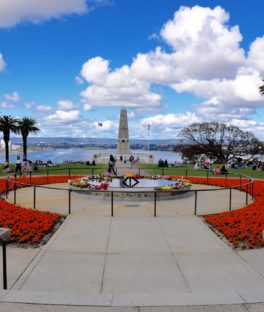 King’s Park and Botanic Garden Perth SilverKris City Guide