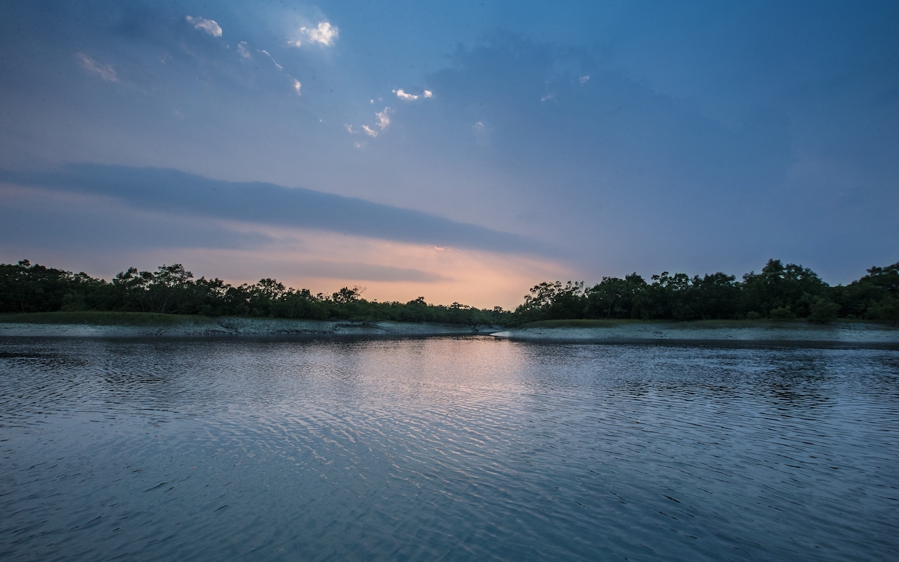 The Sundarbans, India Mangroves Silkair