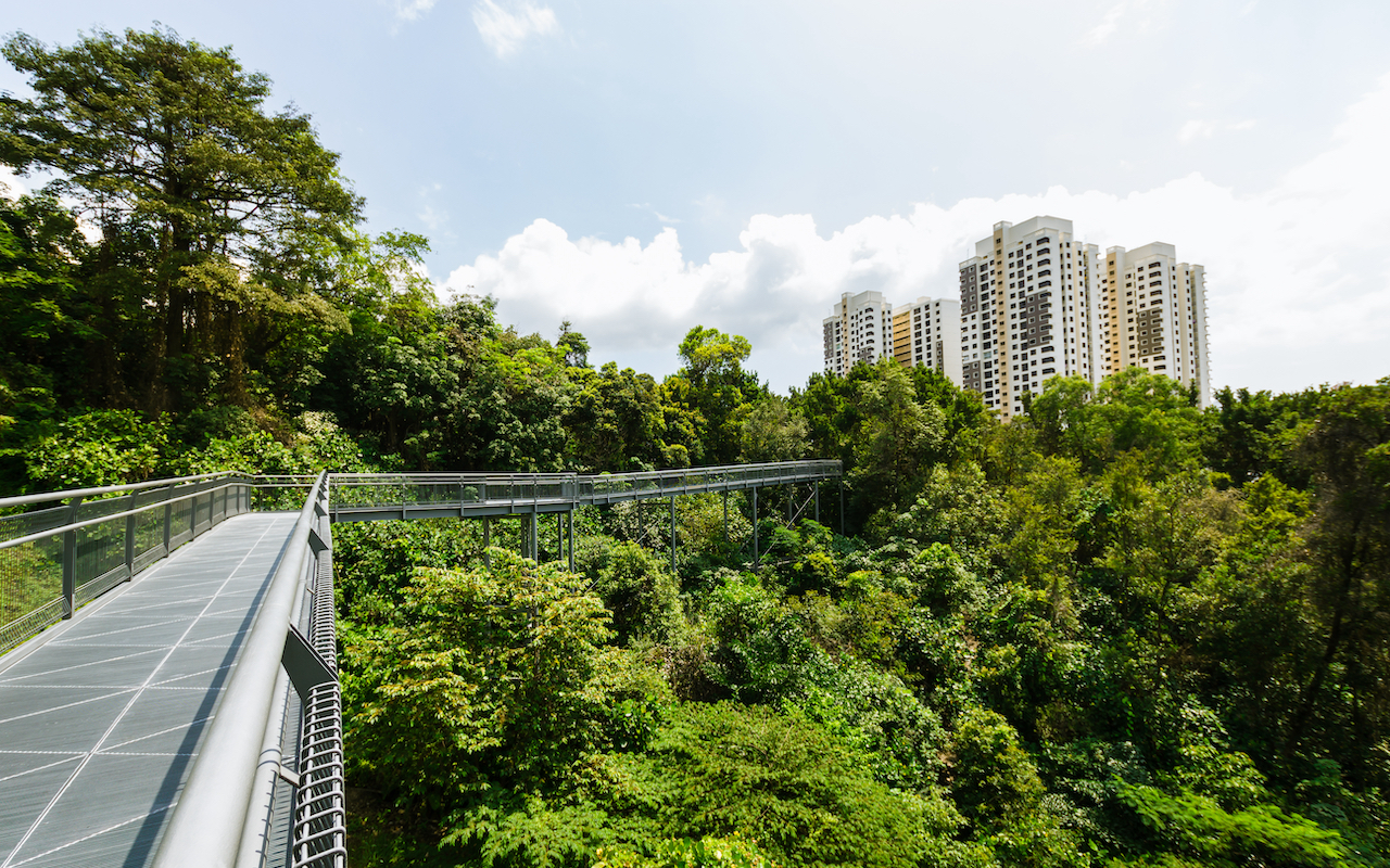South Ridges Hiking trails in Singapore