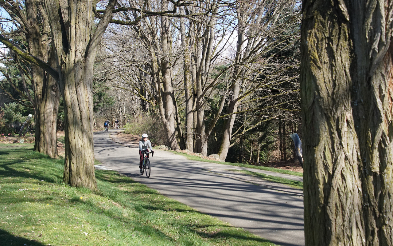 Burke-Gilman bike trail Seattle