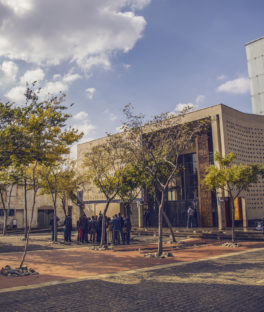 constitutional court johannesburg city guide