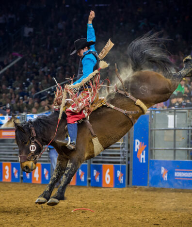 Houston Livestock Show and Rodeo Houston city guide