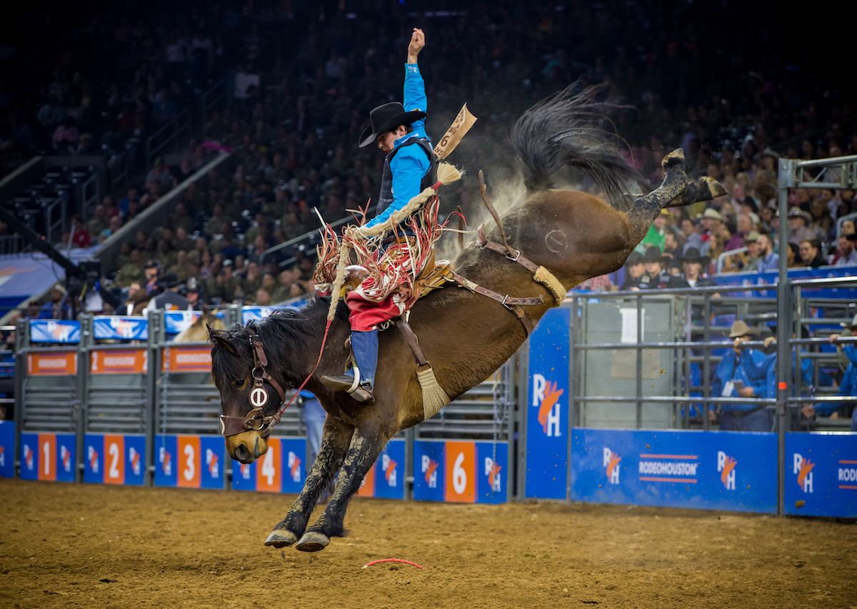 Houston Livestock Show and Rodeo Houston city guide
