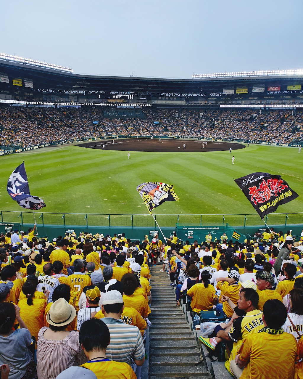 Hanshin Tigers supporters Osaka