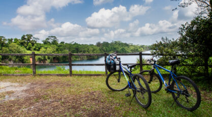 Cycling Trails in Singapore Ketam mountain bike park