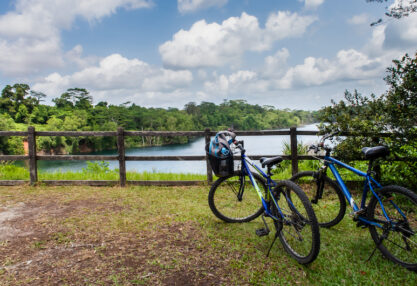 Cycling Trails in Singapore Ketam mountain bike park