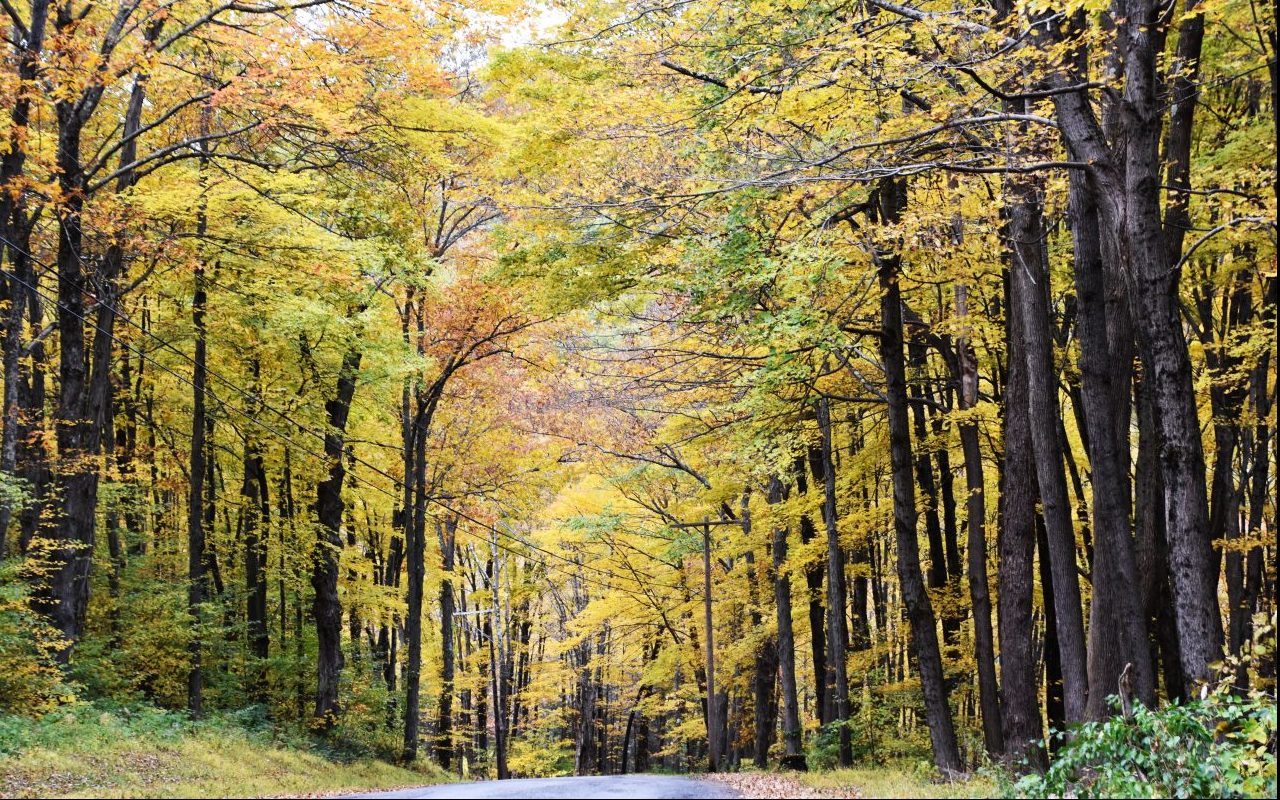 6 of the most stunning places to view New England’s autumn foliage ...