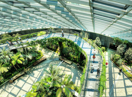 Cloud Forest conservatory