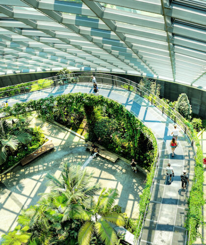 Cloud Forest conservatory