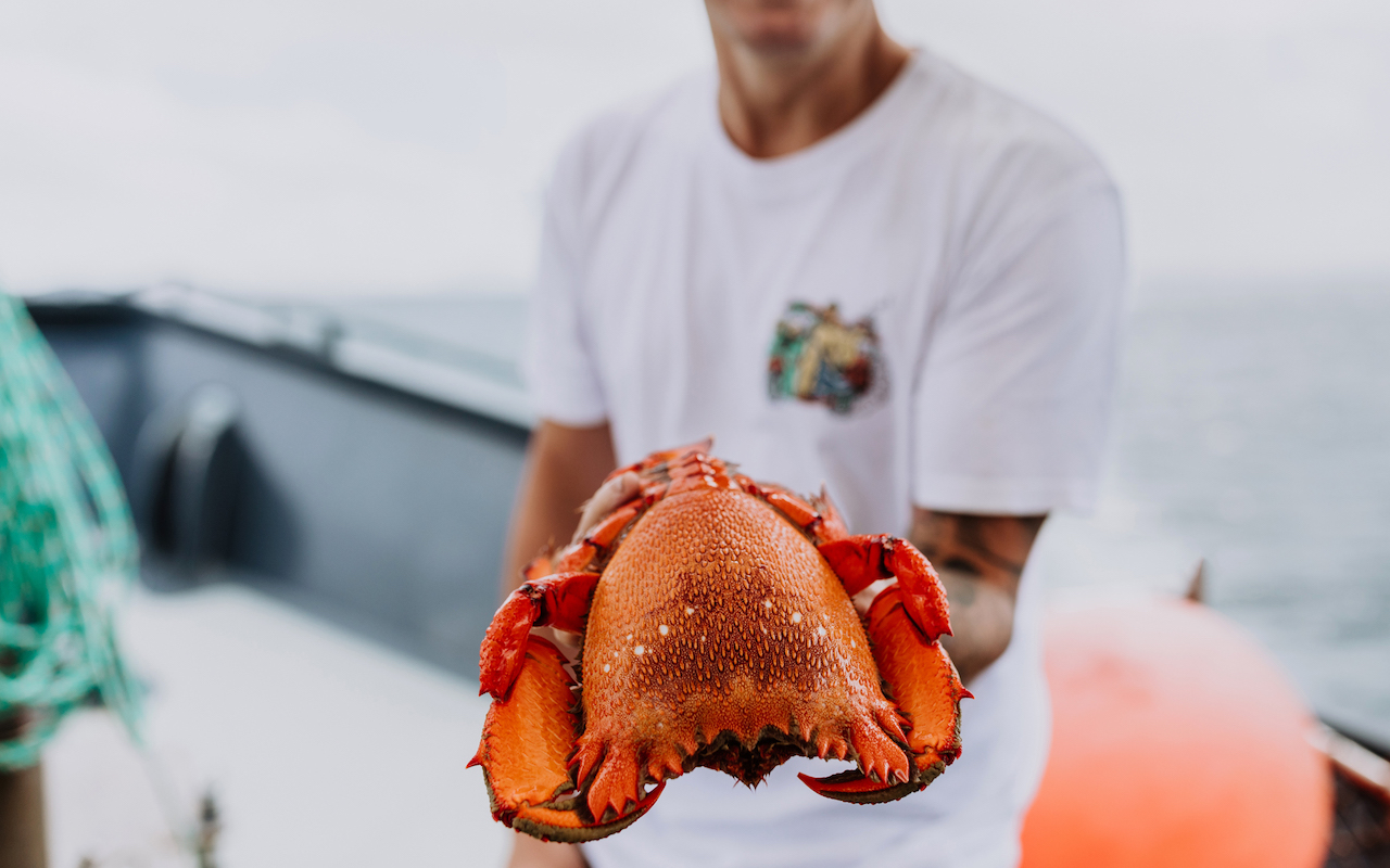 TEQ Taste of Queensland spanner crab