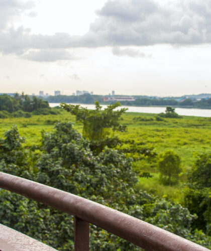 View from tower at Kranji Marshes
