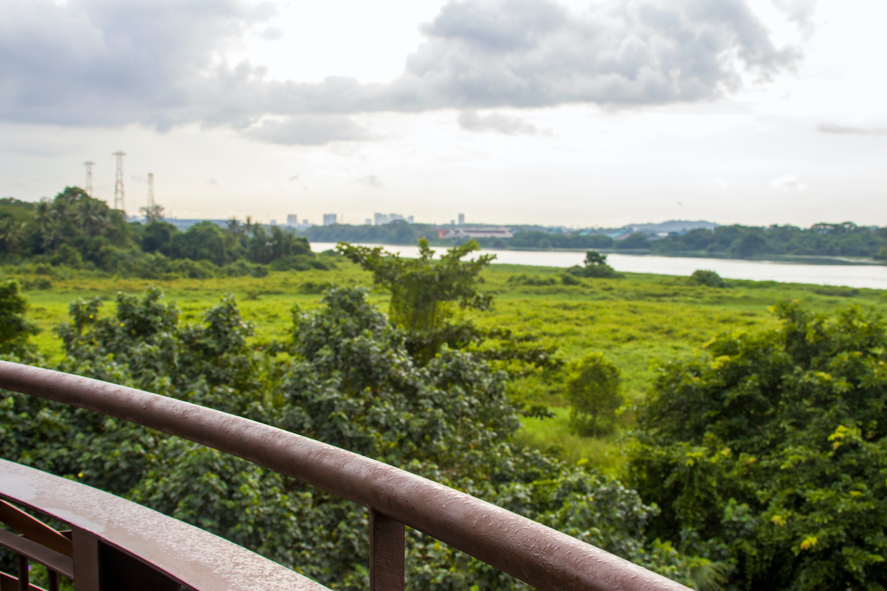 View from tower at Kranji Marshes