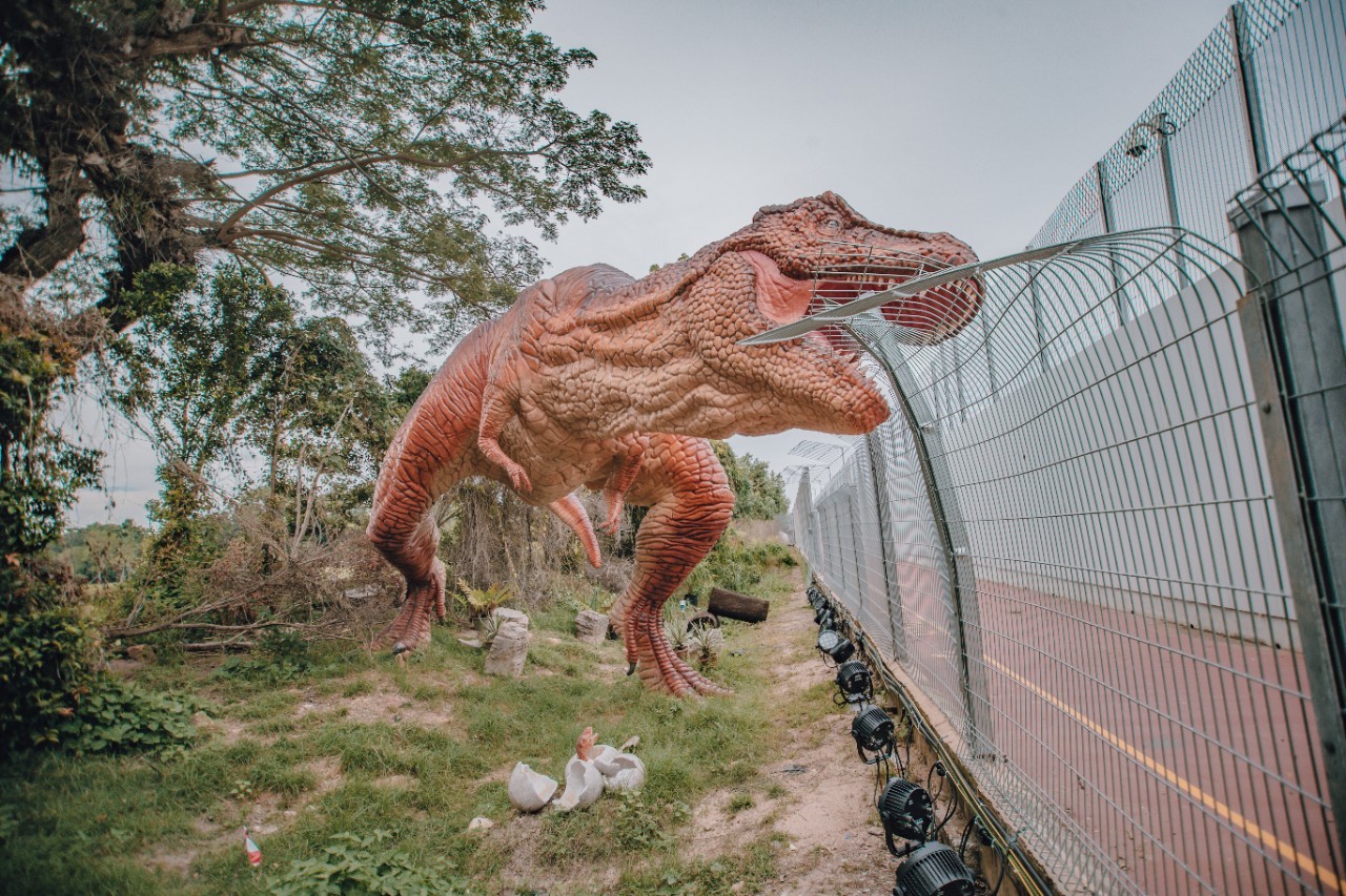 T-Rex at Jurassic Mile