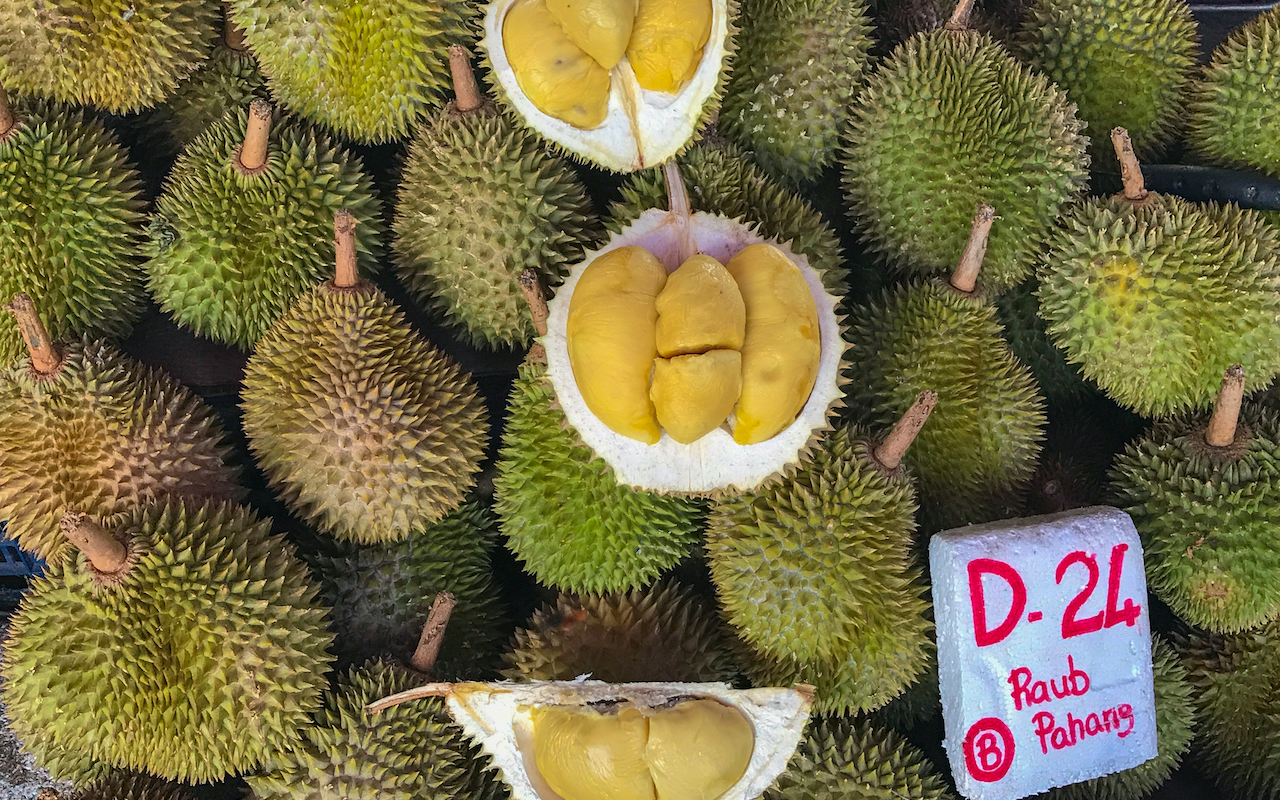 D24 durians Malaysia