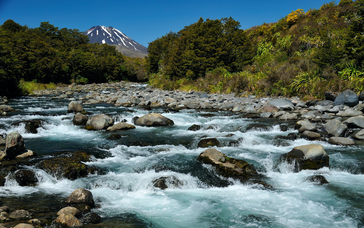 Mahuia Rapids, Tongariro,National,Park New Zealand