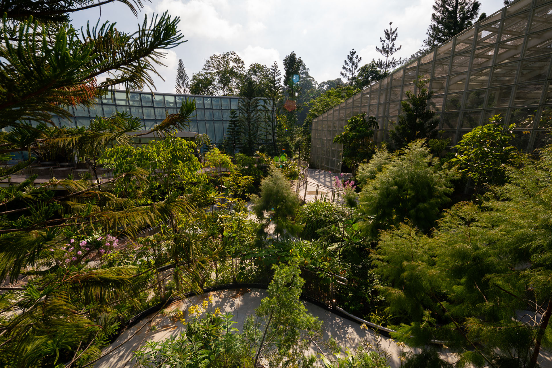 Singapore Botanic gardens Tropical Montane Orchidetum at National Orchid Garden.