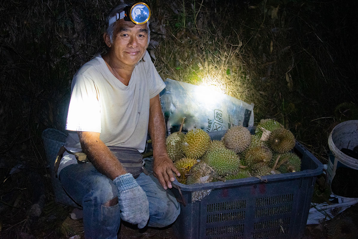 Durian farmer