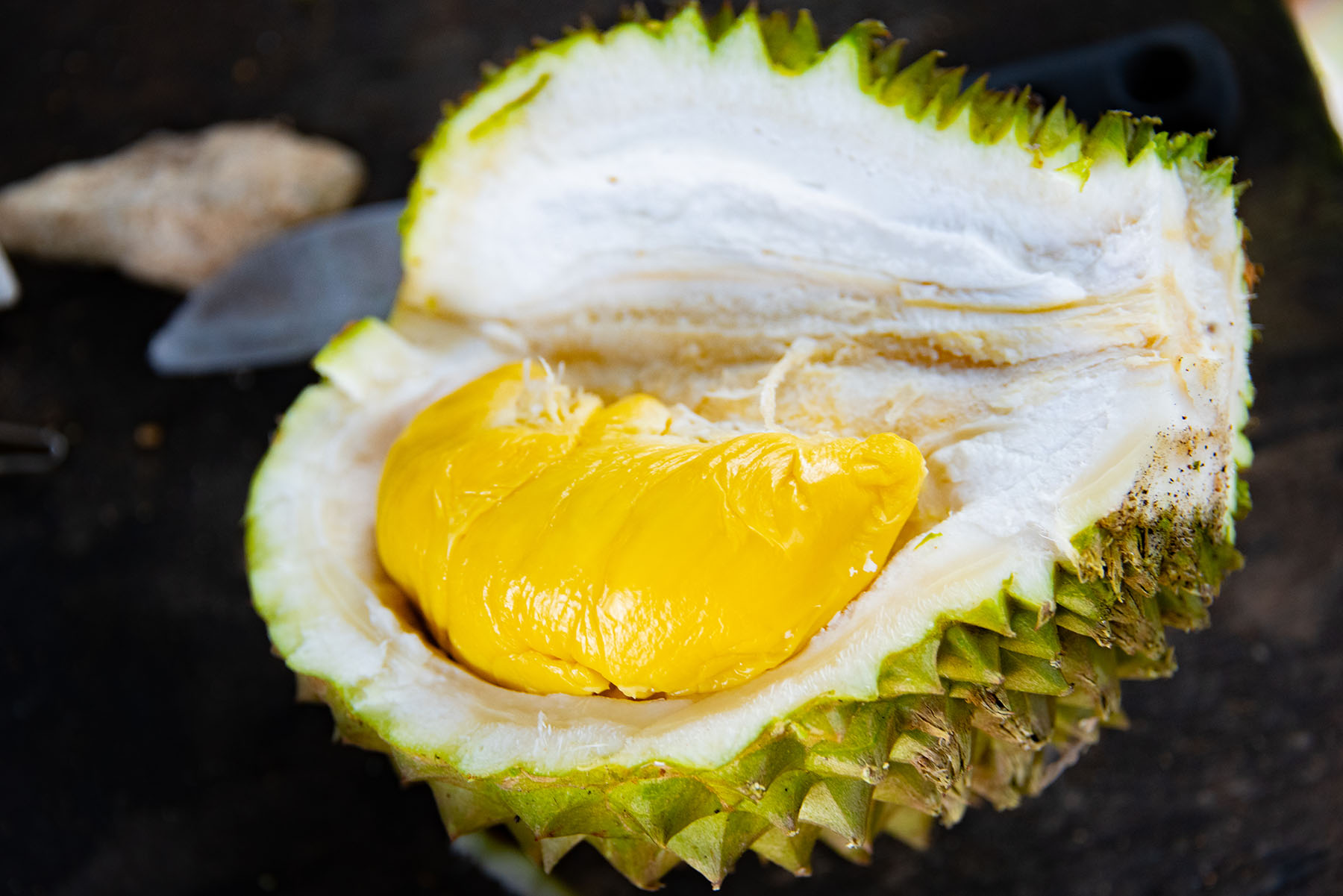 durian-musang-king