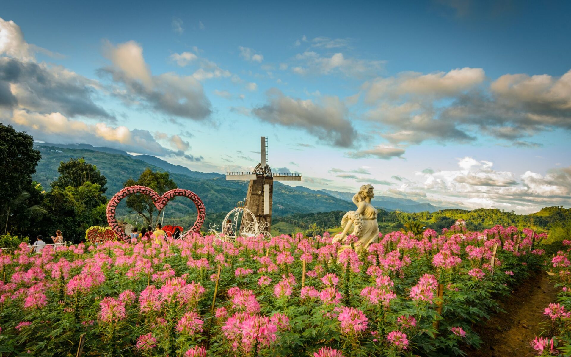 Flowers and windmill at Sirao Gardens, Cebu