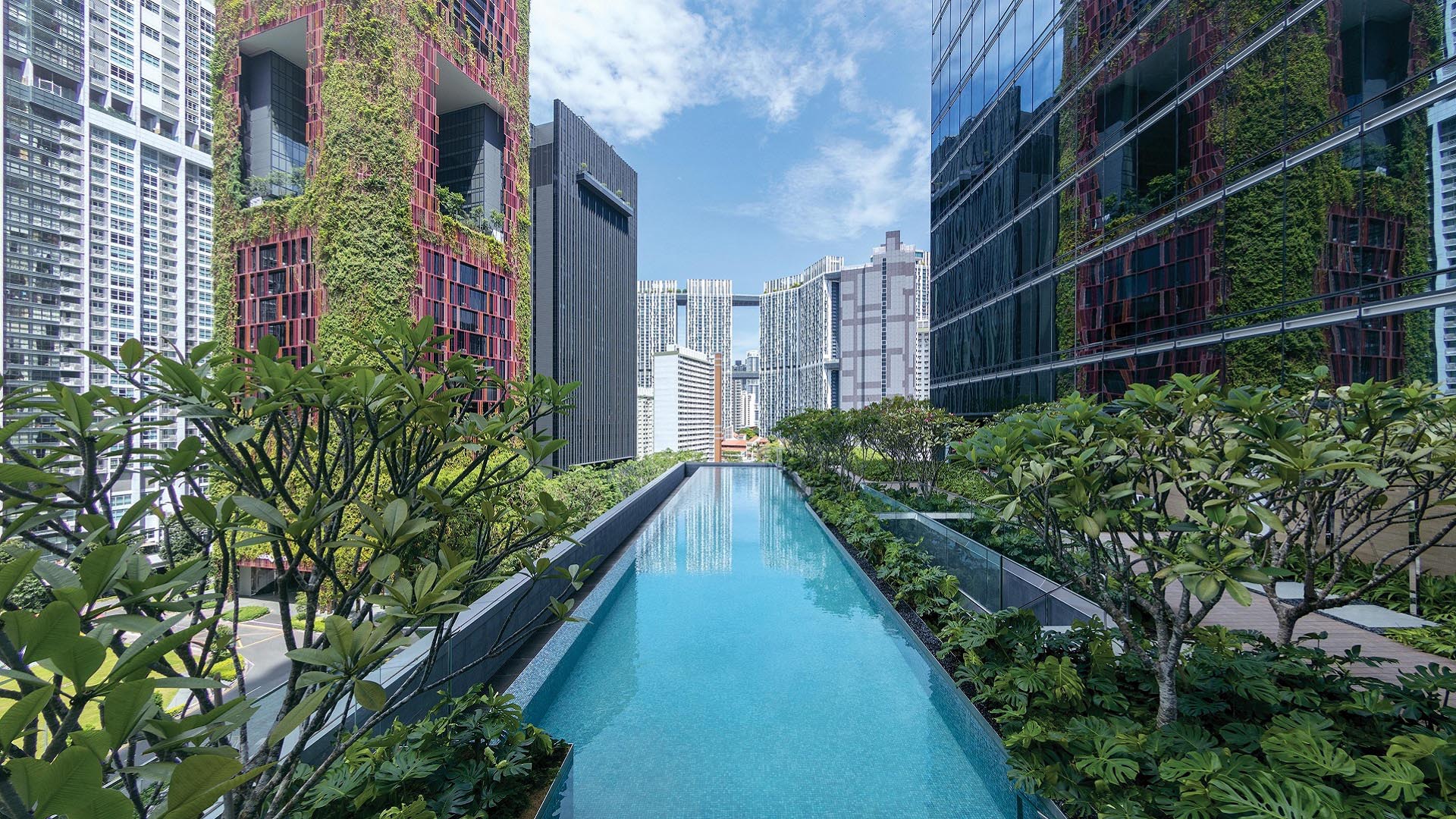 Sofitel Singapore City Centre Swimming Pool